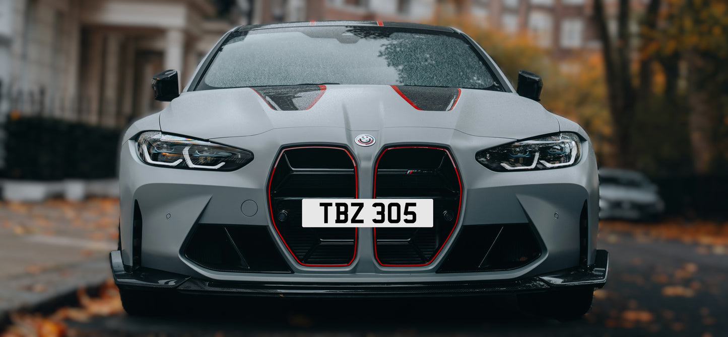 TBZ 305